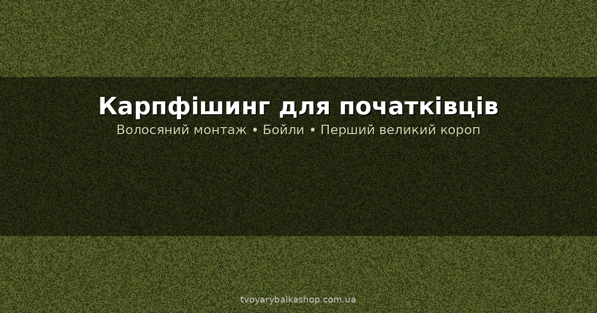 Карпфішинг для початківців: з чого почати і як зловити першого великого коропа