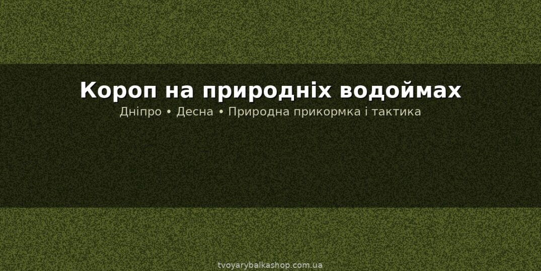 Коропова риболовля на природних водоймах: лещина, яр і Дніпровські водосховища