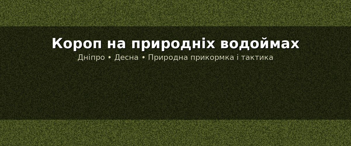 Без категорії